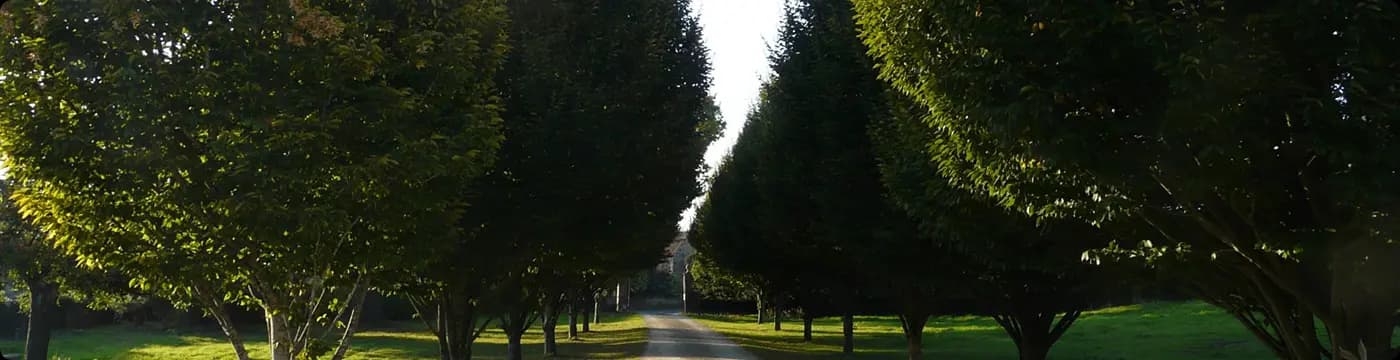 Upper Court countryside
